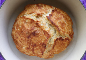 Dutch Oven No Knead Bread (with perfect crusty crust!) - Bowl of