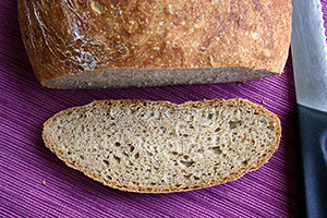 Whole Wheat No Knead Bread