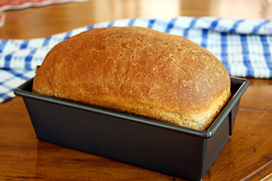 Simple Whole Wheat Bread