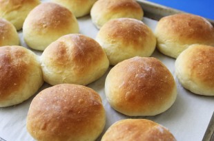 Easy Dinner Rolls