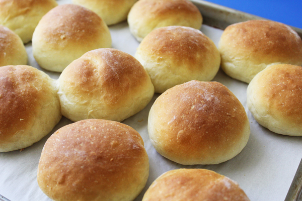 Easy Dinner Rolls