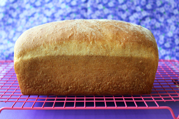 Simple Homemade White Bread (KitchenAid Stand Mixer) 