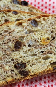 No Knead Fruit and Nut Bread