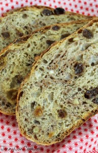 No Knead Fruit and Nut Bread