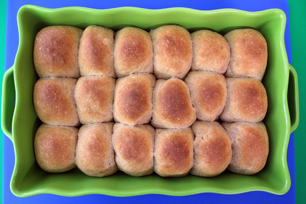 Whole Wheat Dinner Rolls