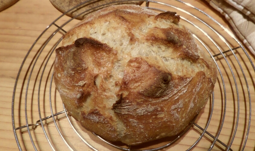 Jenny can cook no knead loaf(1)