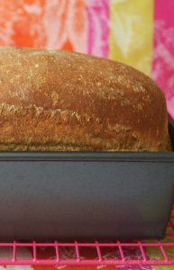 Quick & Easy Sprouted Wheat Bread