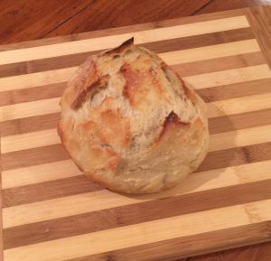 no knead bread bun