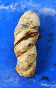 Chocolate Cinnamon Spiral Bread