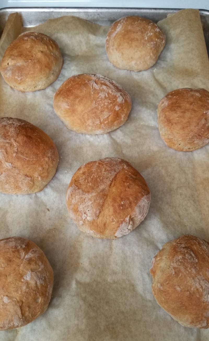 No Knead Crusty Rolls Jenny Can Cook