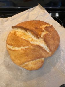 Jenny can cook no knead bread