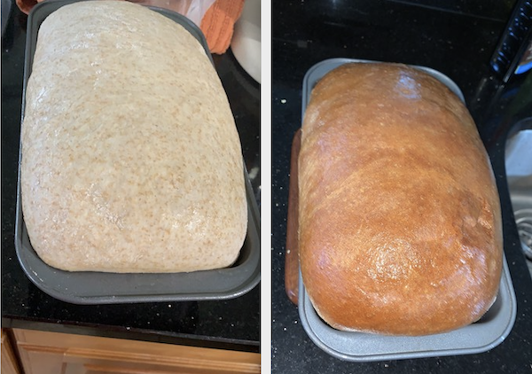 Simple Easy Wheat Bread