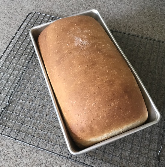 Easy Recipe Whole Wheat Bread