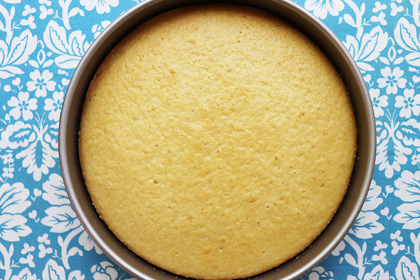Simple Vegan Vanilla Cake