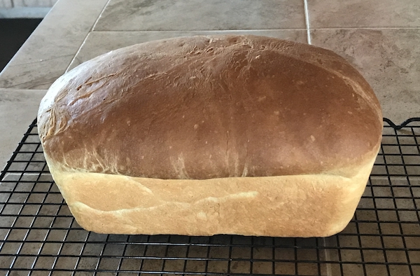 Simple Easy Whole Wheat Bread