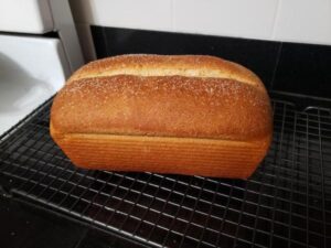 easy_wheat_bread