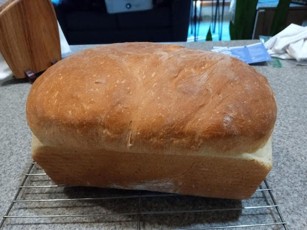 Best Whole Wheat Bread Recipe