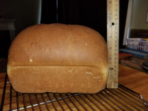 Best Recipe Whole Wheat Bread