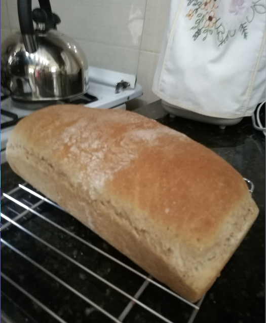 Easiest Recipe Whole Wheat Bread